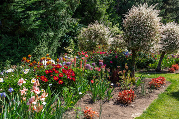 Blooming trees and flowers in the Schreiner's Iris Gardens in Salem, Oregon