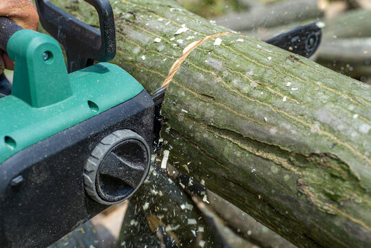 Cord Chainsaw. Close-up of woodcutter sawing chain saw in motion, sawdust fly to sides. Chainsaw in motion. Hard wood working in forest. Sawdust fly around. Firewood processing.