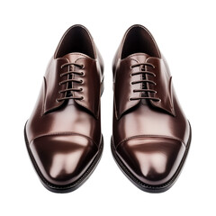 Dark Brown Leather Dress Shoes with Sleek Design