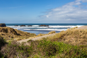 Grass-covered sand dunes on the shores of the Pacific Ocean in South Oregon, USA