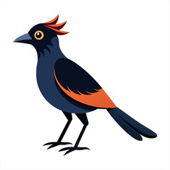 Colorful Silhouette Beautiful Birds Flat Vector Illustration , Flat Vector Illustration Colorful Silhouette Beautiful Birds