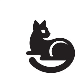 black and white cat