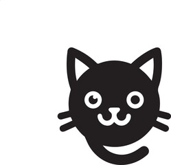 black and white cat