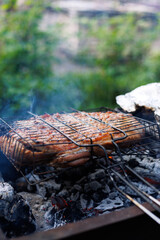 Grilled Meat Delights, Meat sizzling on the barbecue