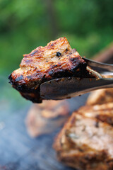 Grilled Meat Delights, Meat sizzling on the barbecue