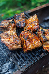 Grilled Meat Delights, Meat sizzling on the barbecue