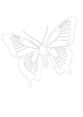 illustration d'une magnifique silhouette de papillon, dessin à la ligne 