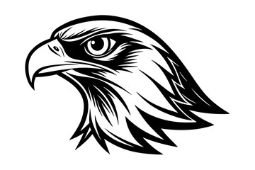 minimalistic hawk head vector illustration 