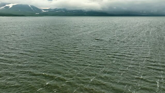 Aerial view of largest Paravani lake in Georgia, Samtskhe-Javakheti region. drone shot captures the stunning volcanic landscape, also known as Georgian Arctic.