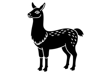 llama vector illustration