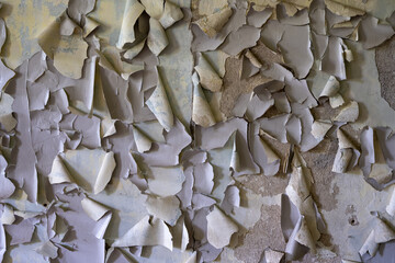 Aging Grace: Textured White Paint Peeling on Wall