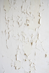 Aging Grace: Textured White Paint Peeling on Wall