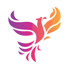 Colorful Flying Eagle Vector Illustration Artwork