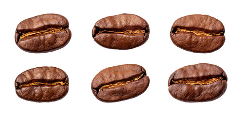 Coffee beans, six in total, roasted to perfection and showcasing a rich brown color with a deep center cut.