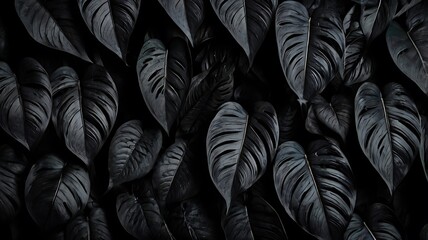 Black tropical leaves illustration, realistic, 4k dark background, abstract, luxury wallpaper