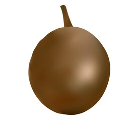 Realistic Chikoo Vector Illustration With Background 