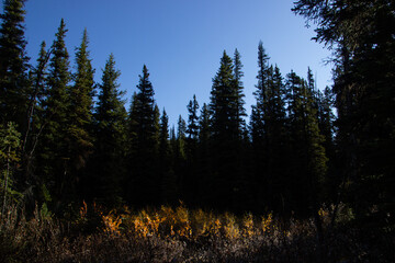 Contrast of colors in the mountains