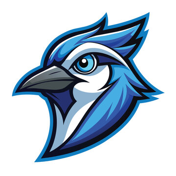 recommend clip art: A Modern, Stylized Vector Logo Featuring A Blue Jay Head, Blue Jay Head Mascot, Modern Vector Logo Design