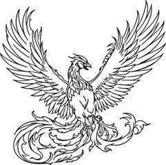 illustration of a bird Black and white bird 