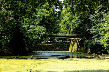 Fortress wall and moat