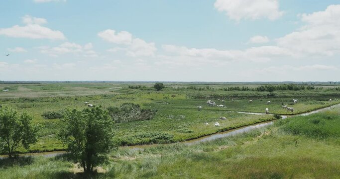 The Bay of Brouage. Tidal canals, marshes and meadows seen from the ramparts of the citadel of the ancient Royal City Hiers-Brouage
