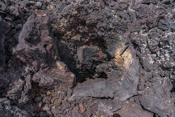 A lava tree mold, sometimes erroneously called a lava tree cast, is a hollow lava formation that...