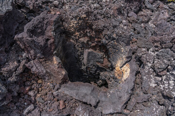 A lava tree mold, sometimes erroneously called a lava tree cast, is a hollow lava formation that formed around a tree trunk.   Hawaii Volcanoes National Park, July 1974 Lava Flow from Fissure vent