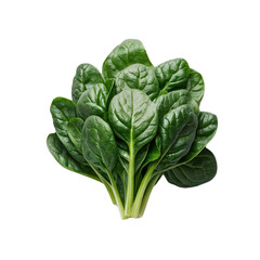 spinach