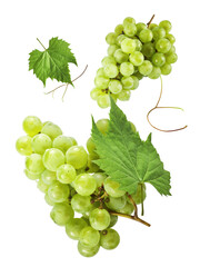 Fresh green grape falling in the air isolated on white background. High resolution image.