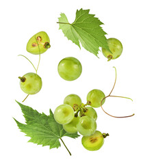 Fresh green grape falling in the air isolated on white background. High resolution image.