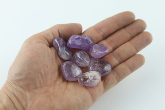 Hand holding several tumbled amethyst stones. Open hand holding several pieces of tumbled amethyst, with a white background"
