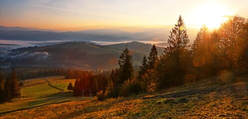 perfect morning in the forest, awesome autumn view in Carpathian mountains, Europe	