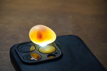 egg in the light incubation 