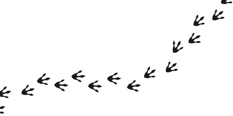 Dinosaur footprints. Hand drawn dragon footprints. Vector scribble illustration on white background.