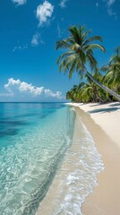 Naklejka premium A tropical beach with palm trees and white sand