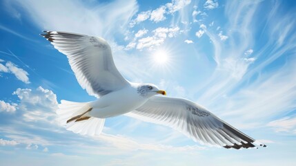 Fototapeta premium Seagull soaring against blue sky with empty space