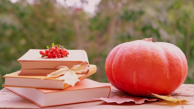 autumn Yellow Leaves, pumpkin, orange pyracantha Berries, books on table in Garden, Autumn Decor and Creativity, Ecology and Harvest