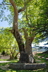 Village of Metsovo near city of Ioannina, Epirus Region, Greece
