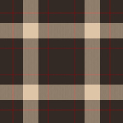 Plaid seamless pattern. Check fabric texture. Vector textile print.