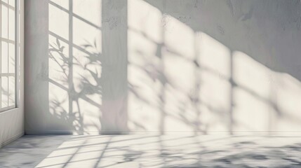 Obraz premium Sunlight and Shadows in an Empty Room