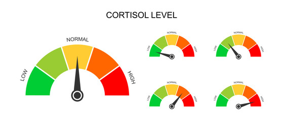 Set of cortisol meter gauges. Levels of body stress response hormone. Round charts with arrow from low to high isolated on white background. Vector flat illustration.