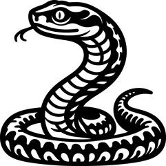 Fototapeta premium Viper Snake