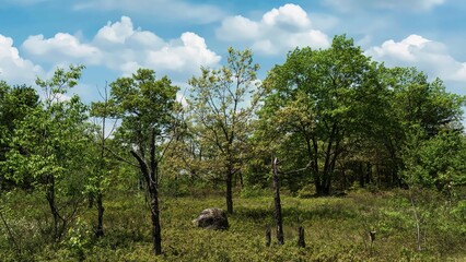 A hike around the lakes and through the forests of Torrance Barrens Reserve in Ontario Canada