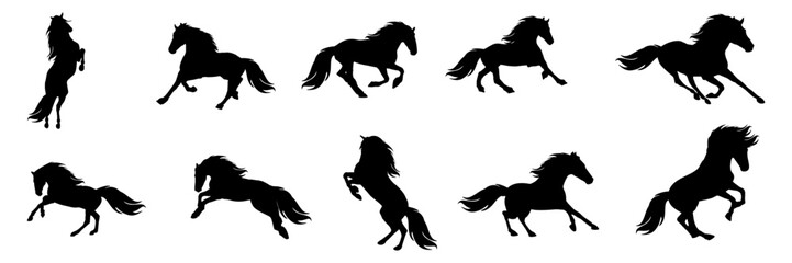 set silhouette illustration  background horse 