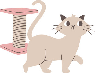 Cat Near Scratching Post