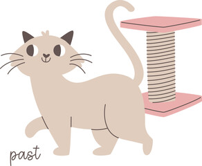 Cat Past To Scratching Post