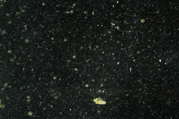 Science experiment of medicine capsules dissolve in a mixture of water and oil