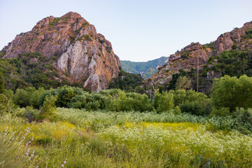 Views of the rough and rocky terrain, with the lush foliage, along with the creek, at Malibu Creek State Park