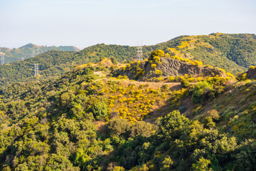 Summer afternoon light on Mandeville canyon fire road in the Santa Monica Mountains