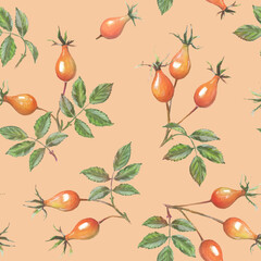 Rosehip drawing. Rose hip berries with leaf on a warm pink background. Botanical sketch of medical herb for label, herbal tisane tea packaging, fashion prints. Hand drawn seamless pattern